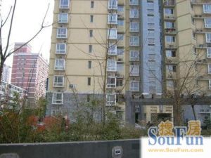 新德街甲31号院3室1厅南北