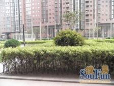 观景房 通透两居室总价低 店长推荐银基王朝