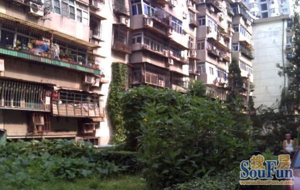 丁字沽九段