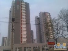 新上海枫雅居 小高层套三东明厅 全天采光 业主诚售