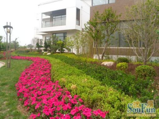 西海岸3室2厅2卫南朝向2000.00元/月出租