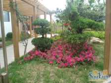 西海岸叠拼别墅!带观海平台海景房!带阁楼!