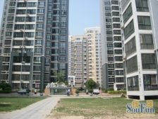 北龙湖 精装一室 税费少 交通便利