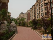 外海边户大别墅 *大院子 装修不错