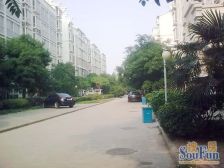 三环内地铁7号线8号线旁边05年中间楼层文三47