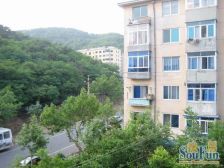 山屏街转盘 无坡 半封闭小区 田字格户型 价格便宜