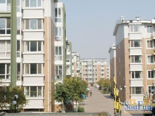 和泰红枫园2室1厅1卫南朝向1000.00元/月出租
