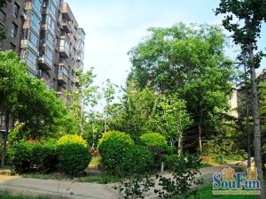 新上林语21年末精装修两室通厅拎包可住全天采光