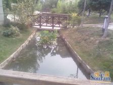 郑东新区 会展旁 精装修顶楼复式 少有带大露台