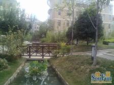 一楼带院,无抵押无贷款,多层电梯洋房