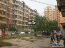 锦苑小区电梯小高东西通透看房方便
