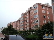 三层洋房 一楼复试 毛坯房 自由设计 有钥匙 看房方便