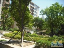 远洋风景精装修 A6园 封闭小区 好楼层 采光视野好