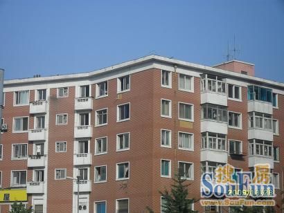 顺阳街1室1厅1卫南朝向1500.00元/月出租