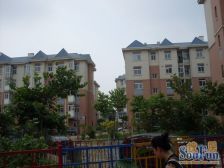 金马圣隆 洋房带阁楼 3室2卫 位置好 采光好 近市场