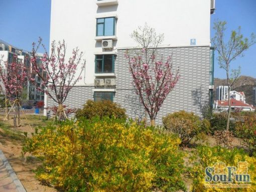 颐中高山1室1厅1卫西南朝向2100.00元/月出租