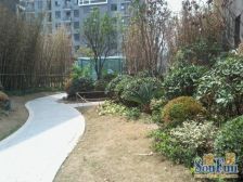 小区环境好 次新小区 高绿化 房子精装 好楼层