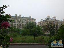 外海蝶泉联排别墅 精装修400平 带300平大yuan子