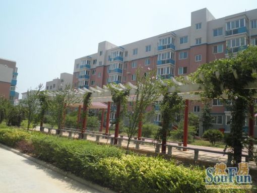 祥瑞花园3室2厅2卫南北朝向900.00元/月出租