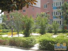 祥瑞花园 步梯低楼层,大两室 毛坯。房税费正常