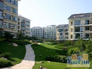 南北通透 采光好 落地窗 房东诚心出售.满五空户