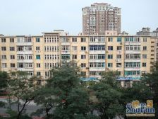 刘家桥 一室 近新隆嘉 近车站