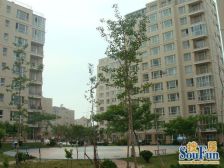 旅顺阳光生态城,全独立经典小户型,价格便宜,急售