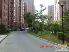 南北通透 五明户型 精装修 楼层好 采光好 视野好