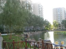 鲁艺上河村5室2厅南北