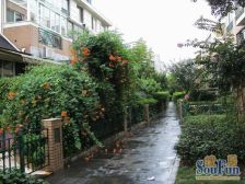 西郊宽境舒适大平层,墅区视野,低总价,随时看房