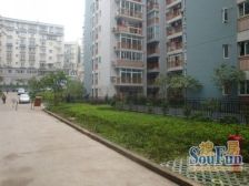 一碗水 侨苑世家一房46万