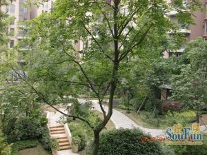 新界二期 3室2厅 西南