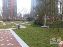巴国城商圈 精装3房双卫 实木家具 拎包入住