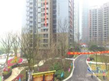 双山 中交丽景四房150万