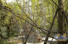 七彩花都B区二期3室2厅东北
