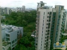 万科四季花城 单间出售 带入户花园