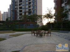 万科四季花城情景洋房 中空复式 采光好