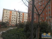 带露台 4号线地铁口 单价不到6000 上农科路