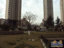 明秀山庄A 洋房 跃层 下沉庭院 交取暖330平+阳光房