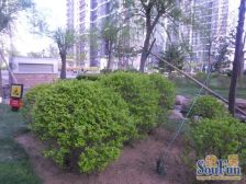 此房满五唯一 采光视野不错 开发商精装修 南北通透