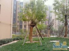 好楼层,产权清晰,总价低,业主诚心卖,随时看