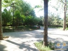 广宁高井,楼层低,看房方便,位置好。