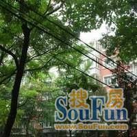 定慧寺·恩济庄18号院·3室·1厅