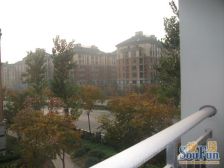 绿城百合 精装电梯两房 南北通透 户型方正 看房方便