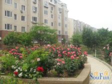 马栏广场未来星城 封闭小区 看房随时