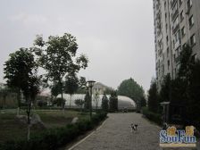 枫竹苑二区3室2厅南北