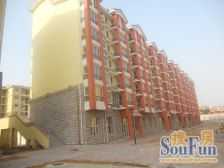 石泉砖厂A10区2室1厅南