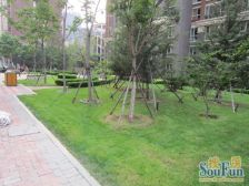 中海C区 装修保持好,采光好 视野开阔 出行便利