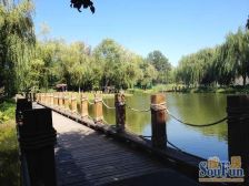 龙湾平层大面宽,位置好,户型好,采光好