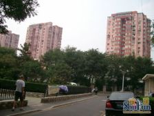 角门东里3室1厅东南